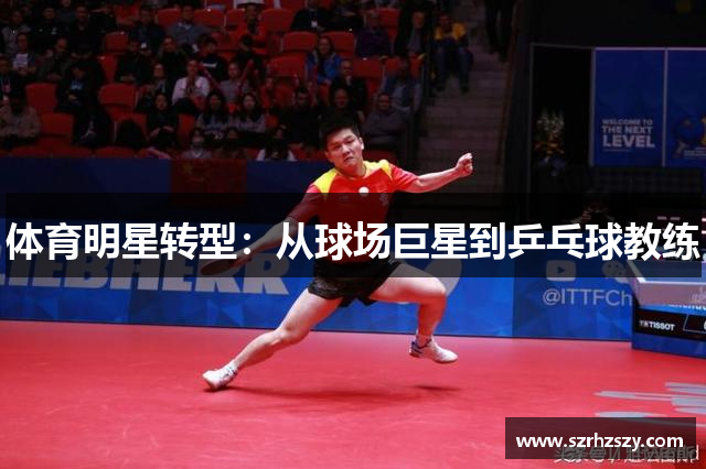 体育明星转型：从球场巨星到乒乓球教练